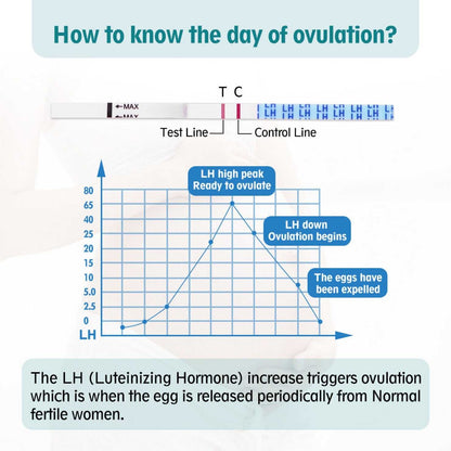 Wondfo Ovulation Tests